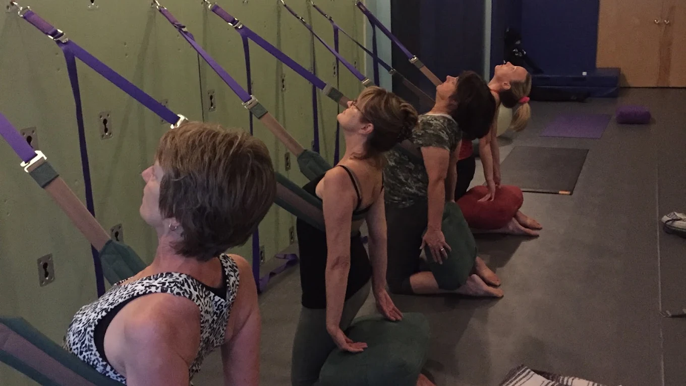 A row of students in a strap-supported kneeling backbend at the Yoga Wall at Palm Yoga in Tampa